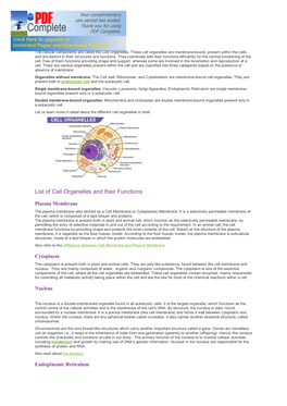 List of Cell Organelles and Their Functions