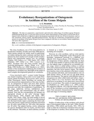 Evolutionary Reorganizations of Ontogenesis in Ascidians of the Genus Molgula A