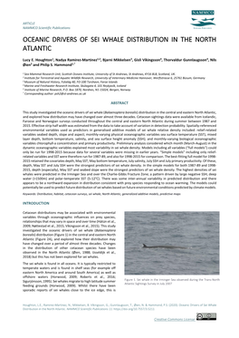 Oceanic Drivers of Sei Whale Distribution in the North Atlantic
