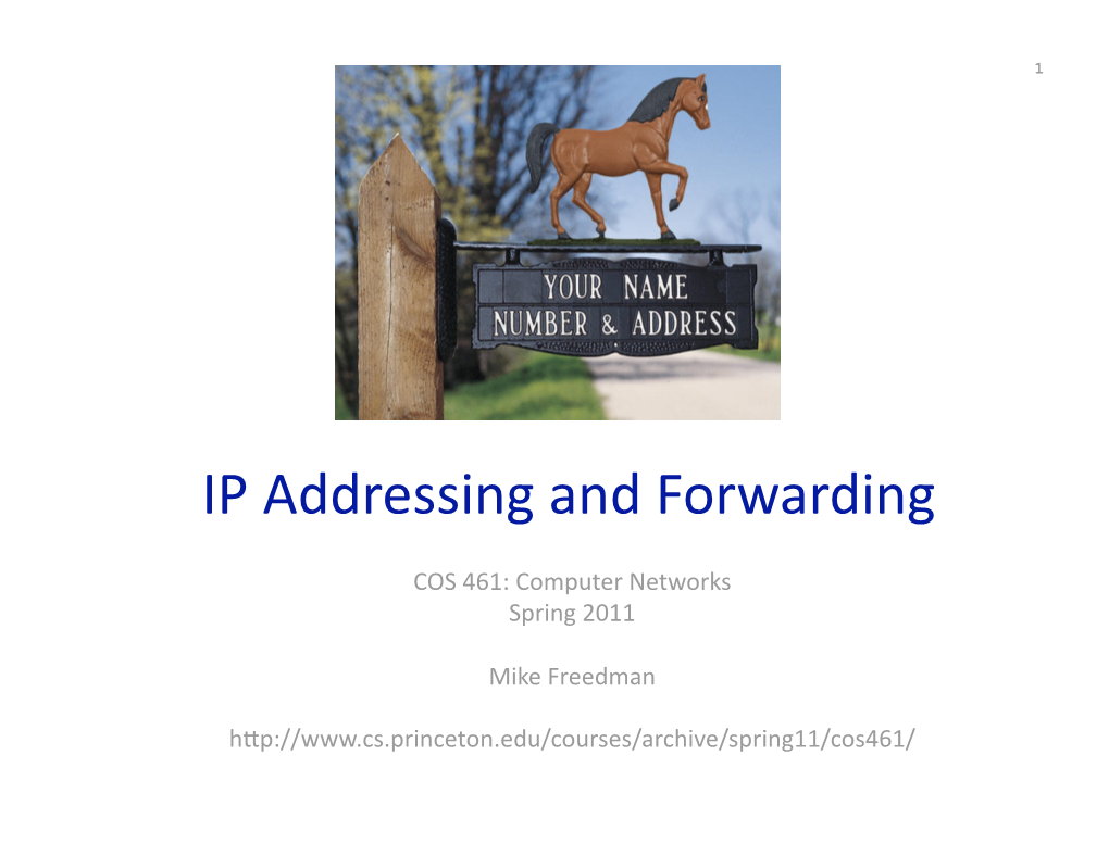 IP Addressing and Forwarding