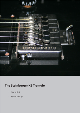 The Steinberger KB Tremolo