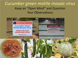 Cucumber Green Mottle Mosaic Virus Keep an “Open Mind” and Question Your Observations Disease Cycle 2