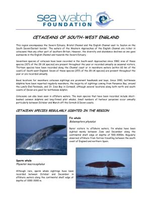 Cetaceans of South-West England
