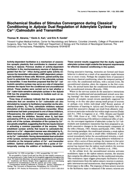 Dual Regulation of Adenylate Cyclase by Ca*+/Calmodulin and Transmitter