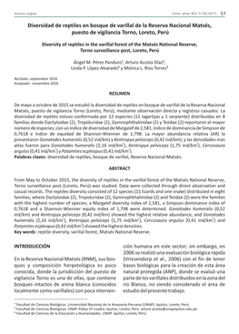 Diversidad De Reptiles En Bosque De Varillal De La Reserva Nacional Matsés, Puesto De Vigilancia Torno, Loreto, Perú