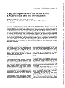 Aging and Degeneration of the Human Macula. 1. Outer Nuclear Layer and Photoreceptors