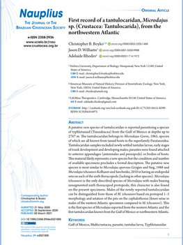 Nauplius Original Article First Record of a Tantulocaridan, Microdajus Sp