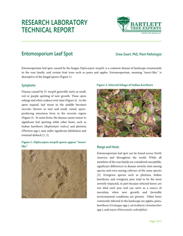 Entomosporium Leaf Spot Drew Zwart, Phd, Plant Pathologist