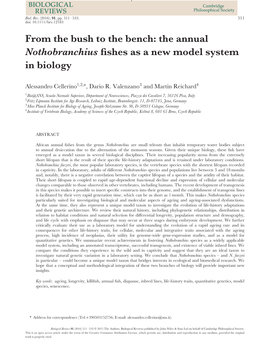 The Annual Nothobranchius Fishes As a New Model System in Biology