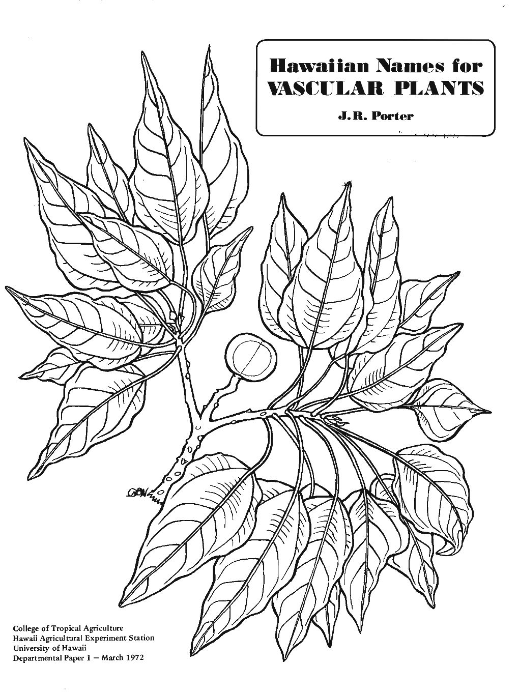 Hawaiian Names for VASCULAR PLANTS J.R