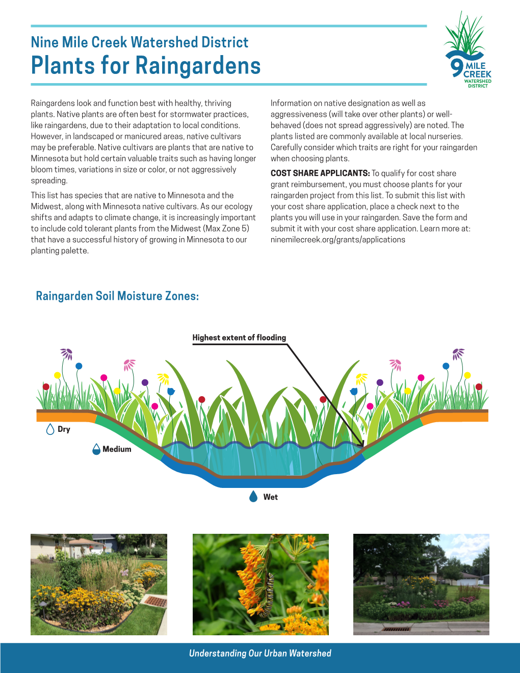 Nine Mile Creek Watershed District Plants for Raingardens