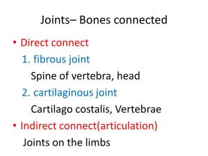 Joints– Bones Connected • Direct Connect 1