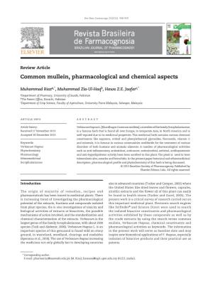 Common Mullein, Pharmacological and Chemical Aspects