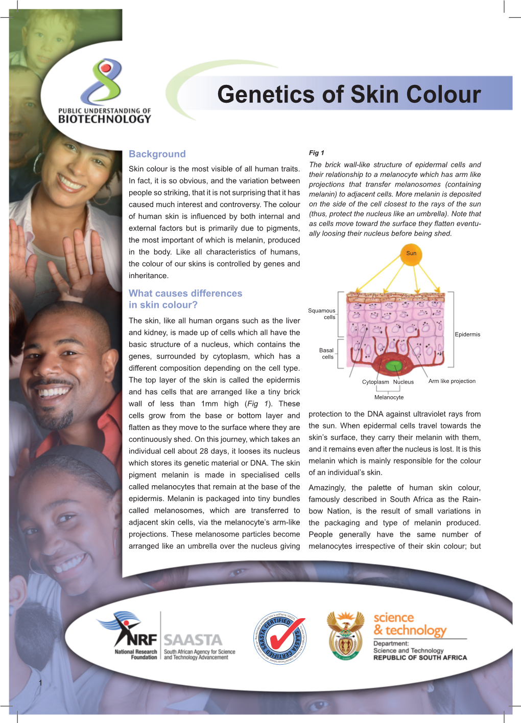 Genetics of Skin Colour