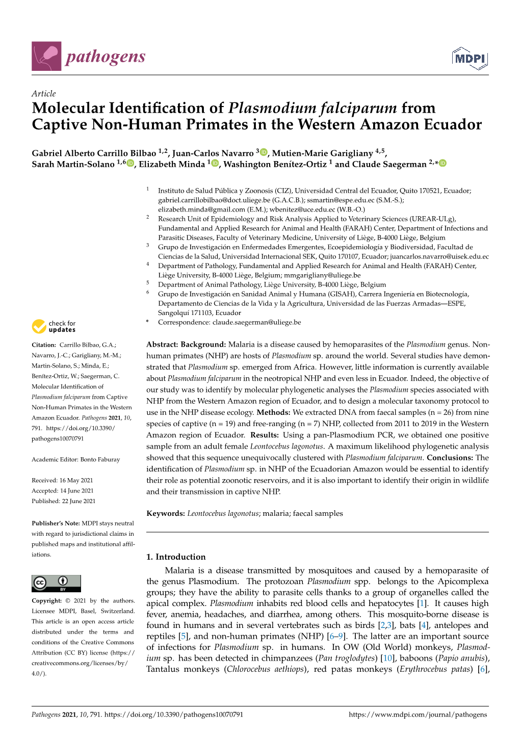 Molecular Identification of Plasmodium Falciparum From