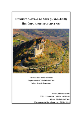 CONJUNT CASTRAL DE MUR (C