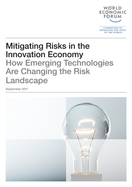 Mitigating Risks in the Innovation Economy