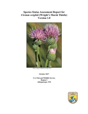 Wright's Marsh Thistle, (Cirsium Wrightii), and Mescalero Milkwort (Polygala Rimulicola Var