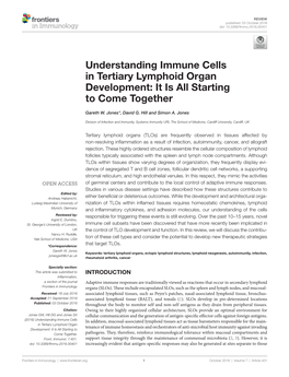 Understanding Immune Cells in Tertiary Lymphoid Organ Development: It Is All Starting to Come Together