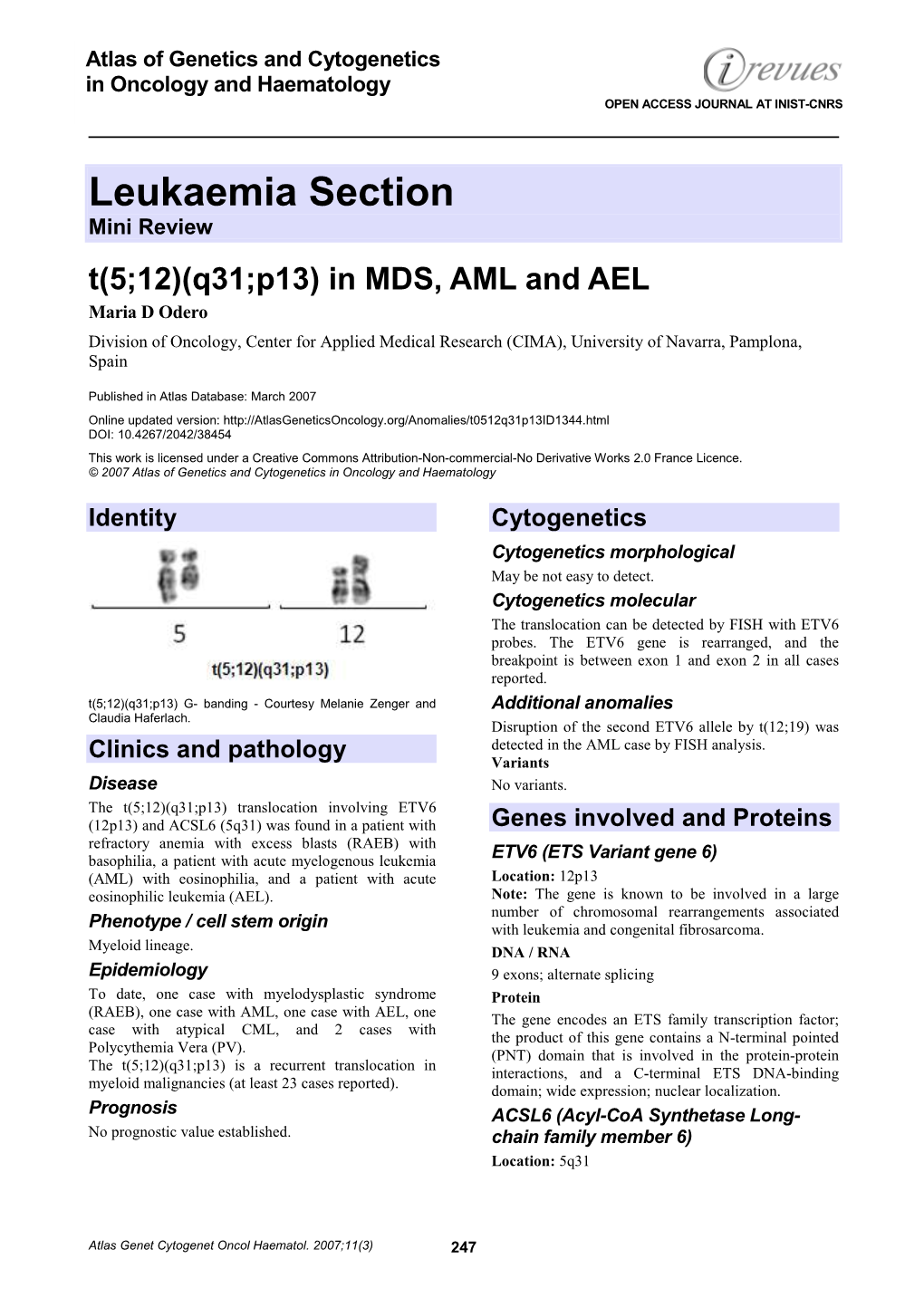 Leukaemia Section