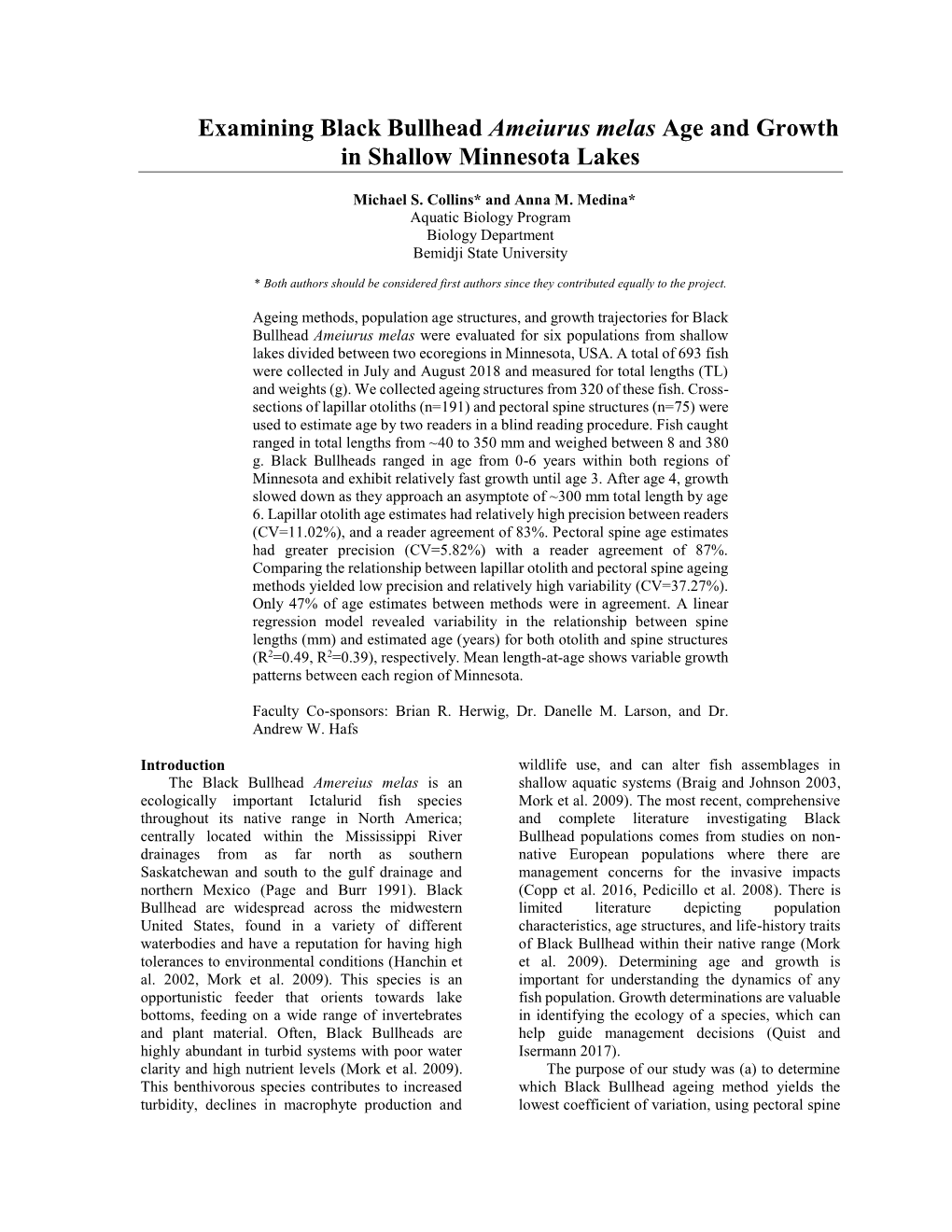 Examining Black Bullhead Ameiurus Melas Age and Growth in Shallow Minnesota Lakes