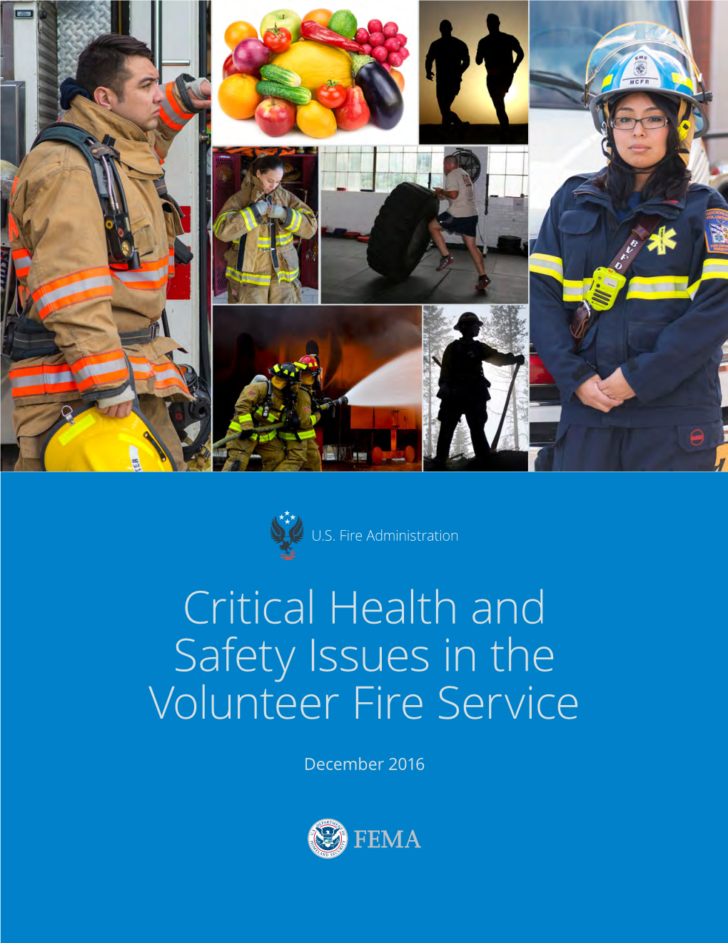 Critical Health and Safety Issues in the Volunteer Fire Service