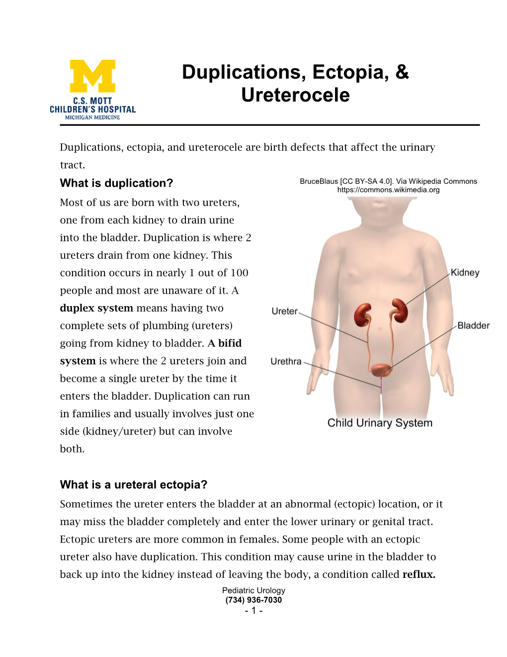 Duplications, Ectopia, & Ureterocele