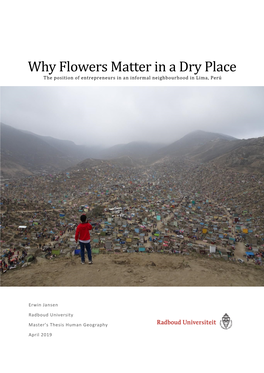 Why Flowers Matter in a Dry Place the Position of Entrepreneurs in an Informal Neighbourhood in Lima, Perú