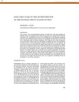 Fine Structure of the Myoepithelium of The