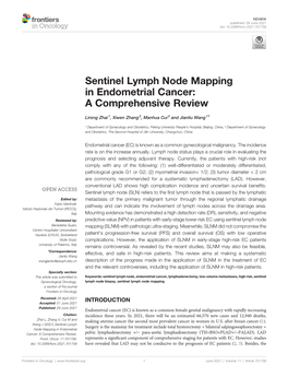Sentinel Lymph Node Mapping in Endometrial Cancer: a Comprehensive Review