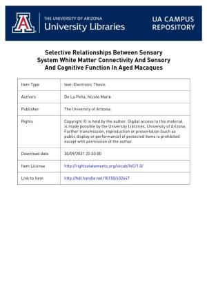 Selective Relationships Between Sensory System White Matter Connectivity and Sensory and Cognitive Function in Aged Macaques