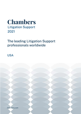 The Chambers Litigation Support Guide –