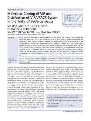 Molecular Cloning of VIP and Distribution of VIP/VPACR System In