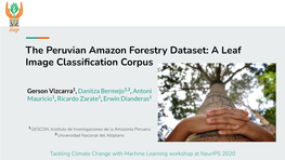 The Peruvian Amazon Forestry Dataset: a Leaf Image Classiﬁcation Corpus