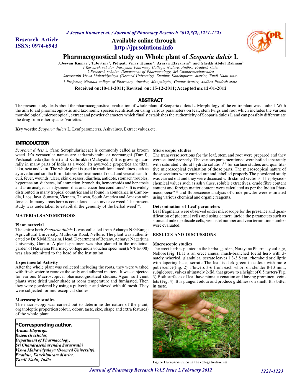 Pharmacognostical Study on Whole Plant of Scoparia Dulcis L