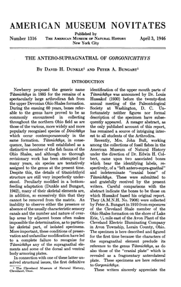 AMERICAN MUSEUM NOVITATES Published by Number 1316 Tim AMERICAN MUSEUM of NATURAL HISTORY April 3, 1946 New York City