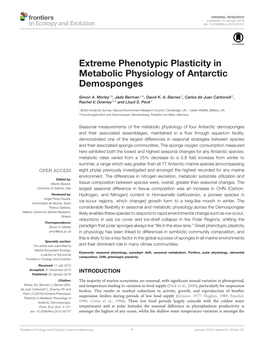 Extreme Phenotypic Plasticity in Metabolic Physiology of Antarctic Demosponges