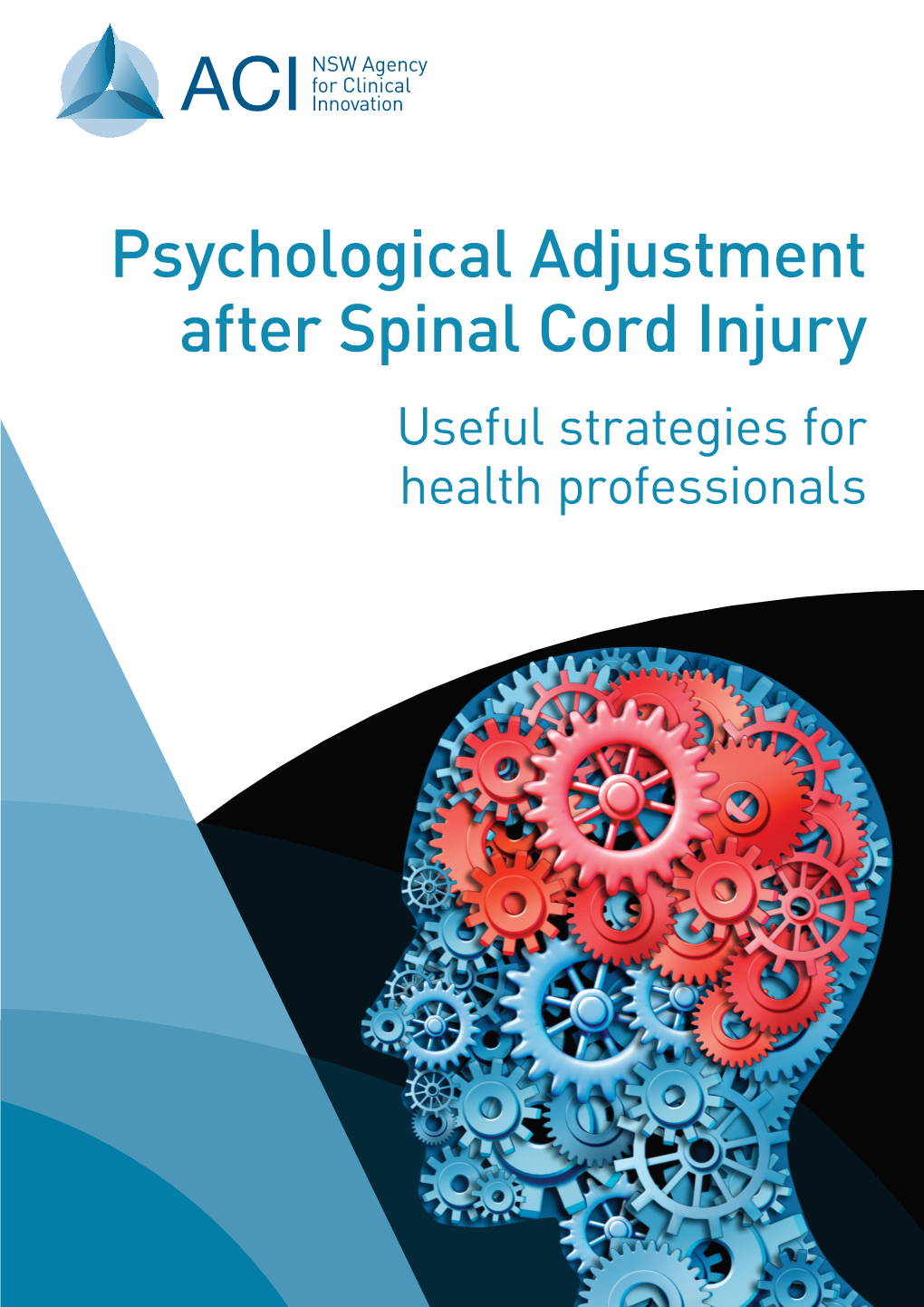 Psychological Adjustment After Spinal Cord Injury