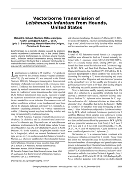 Vectorborne Transmission of Leishmania Infantum from Hounds, United States