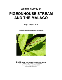 Pigeonhouse Stream and the Malago (2010)