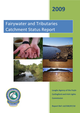 Fairywater and Tributaries Catchment Status Report