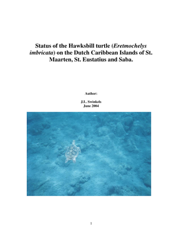 Status of the Hawksbill Turtle (Eretmochelys Imbricata)