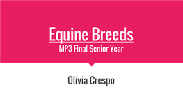 Equine Breeds MP3 Final Senior Year