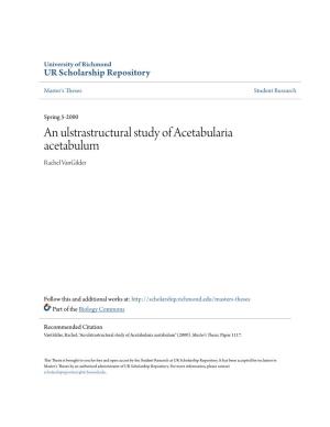 An Ulstrastructural Study of Acetabularia Acetabulum Rachel Vangilder