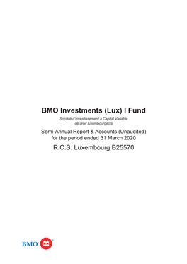 BMO Investments (Lux) I Fund