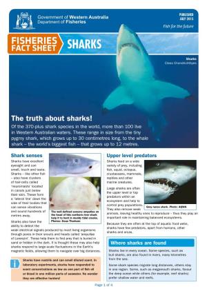 Fact Sheet Sharks