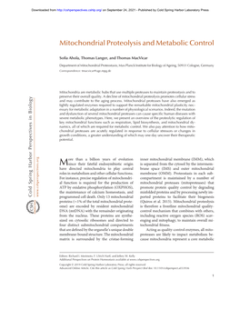 Mitochondrial Proteolysis and Metabolic Control