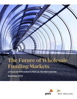 The Future of Wholesale Funding Markets