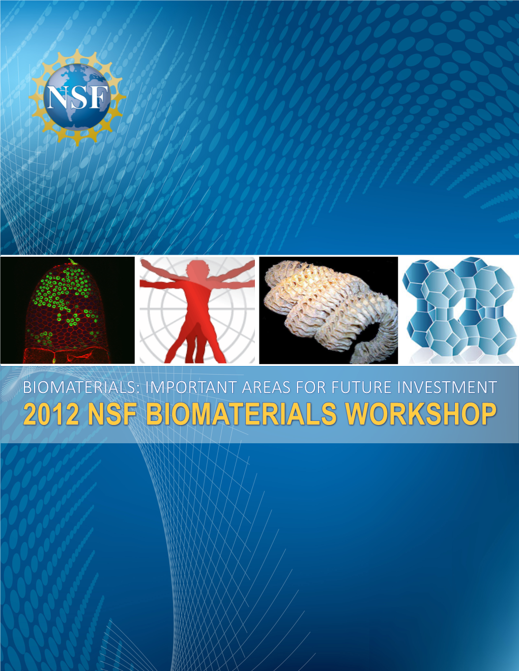 2012 Nsf Biomaterials Workshop