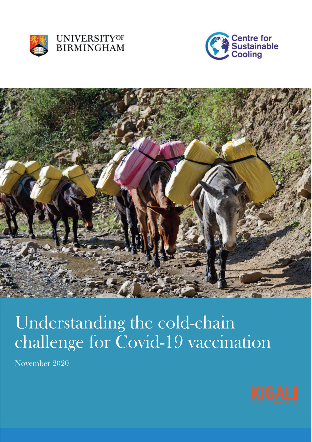 Understanding the Cold-Chain Challenge for Covid-19 Vaccination November 2020